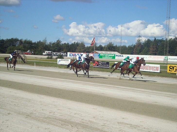 Skive travbane billede 154