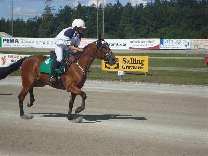 Skive travbane billede 158