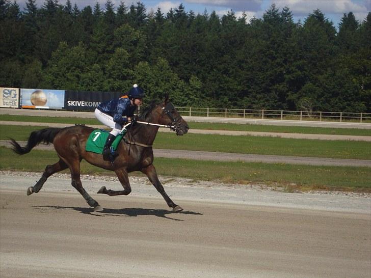 Skive travbane billede 159