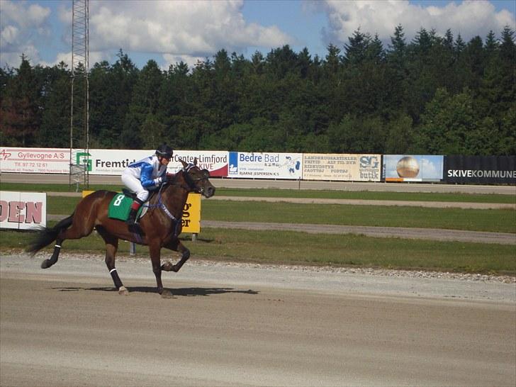 Skive travbane billede 161