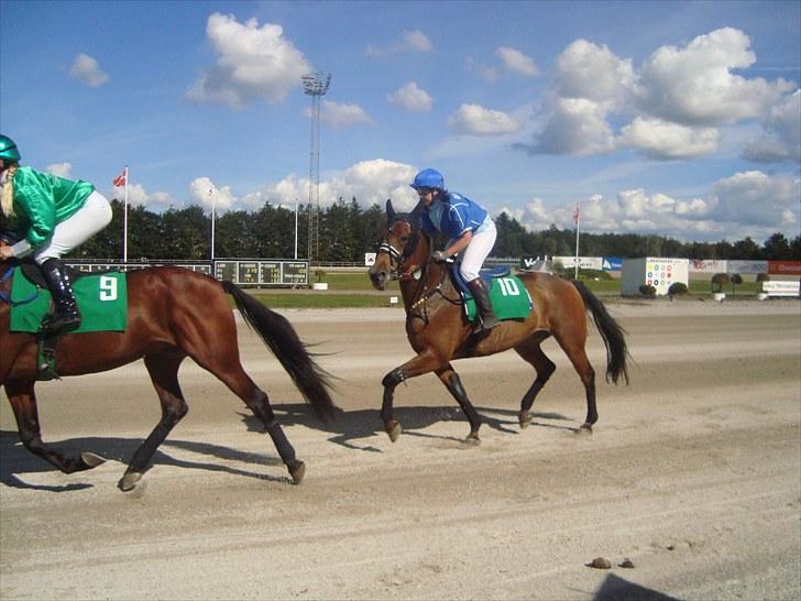 Skive travbane billede 162