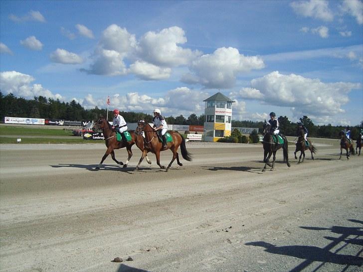 Skive travbane billede 163