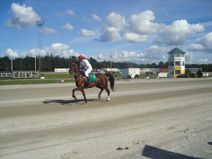 Skive travbane billede 164
