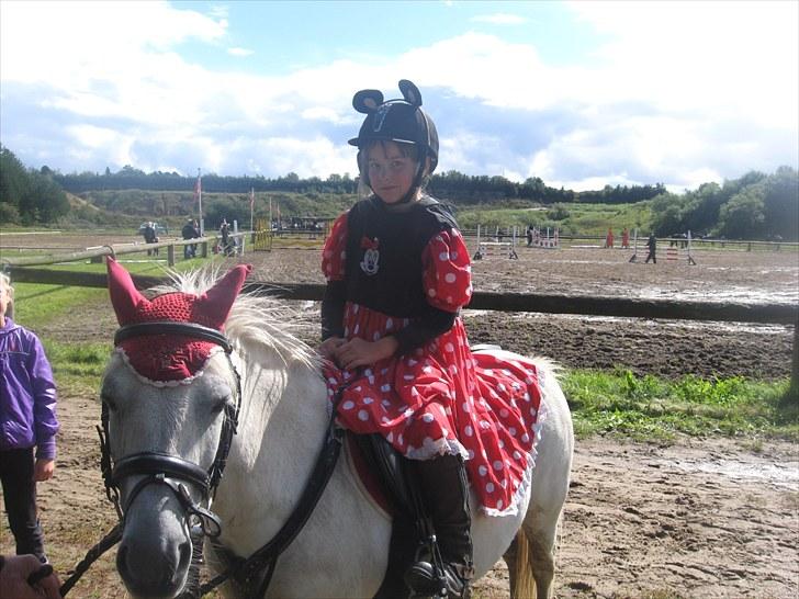 Lucky - Lucky og jeg til kostumespringning i struer. August 2010. Det øs-regnede, så mine mini-mouse ører blev lidt slappe !! billede 88