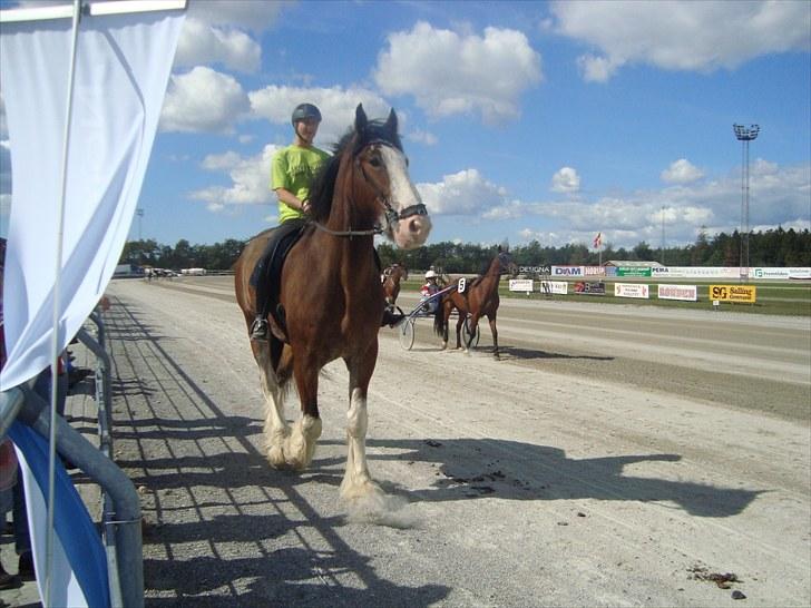 Skive travbane billede 167