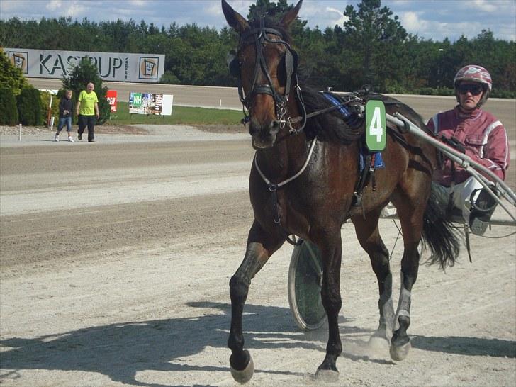 Skive travbane billede 168