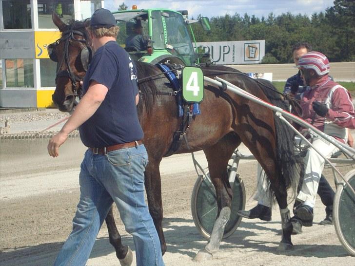 Skive travbane billede 169