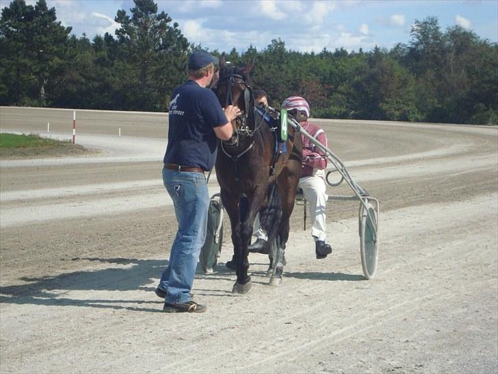 Skive travbane billede 170