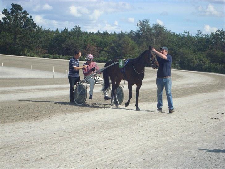 Skive travbane billede 171