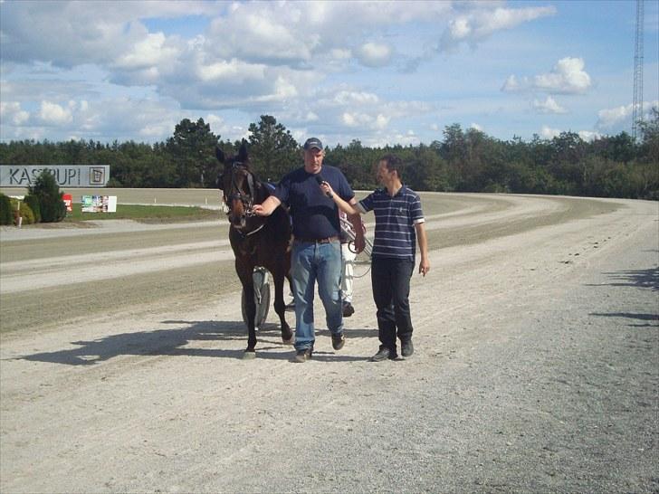 Skive travbane billede 175