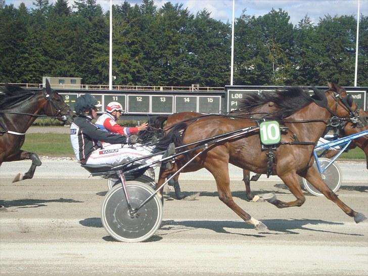 Skive travbane billede 176