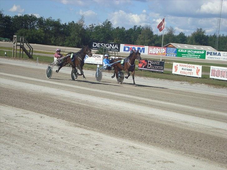 Skive travbane billede 177