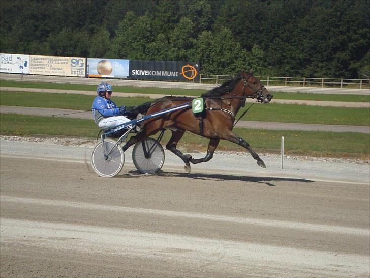 Skive travbane billede 178