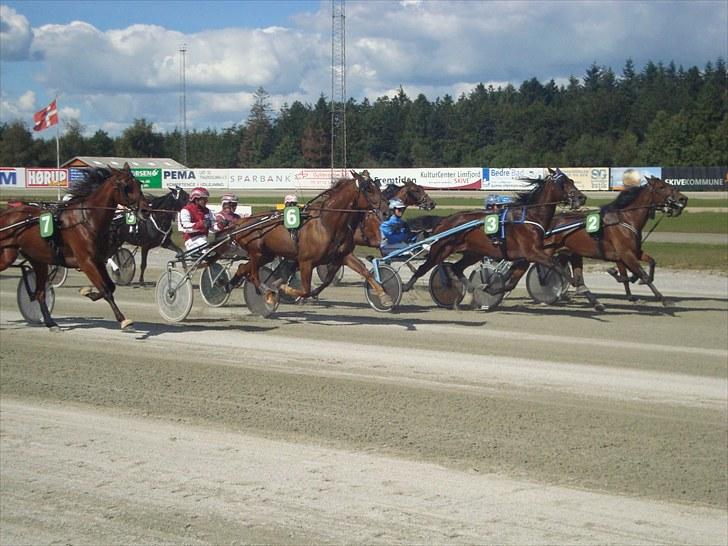 Skive travbane billede 179