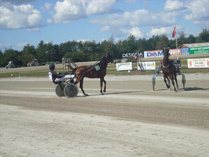 Skive travbane billede 180