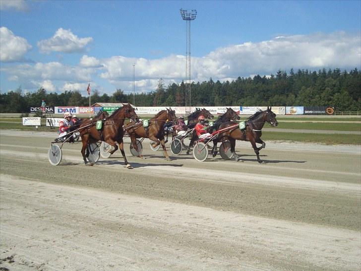 Skive travbane billede 181