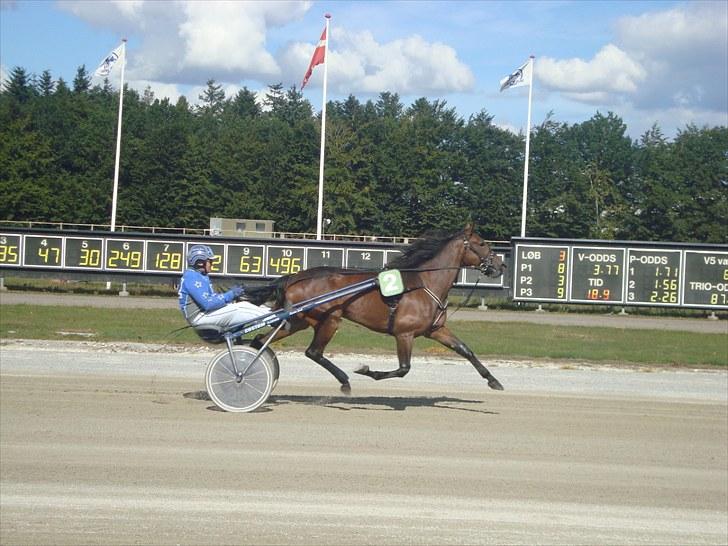 Skive travbane billede 183