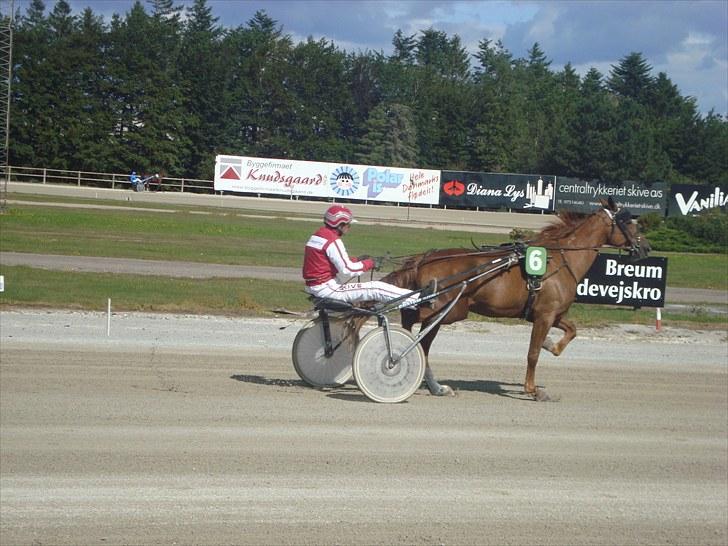 Skive travbane billede 185