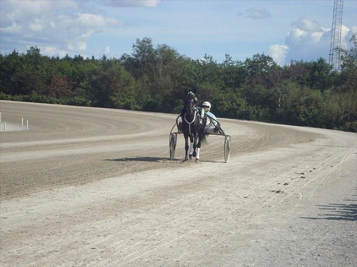 Skive travbane billede 186