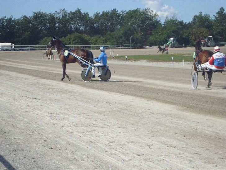 Skive travbane billede 187