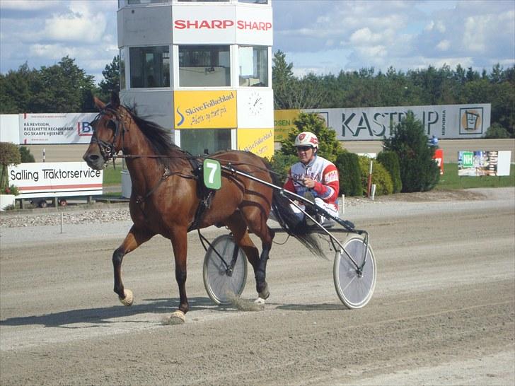 Skive travbane billede 188