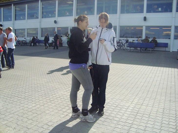 Skive travbane billede 190