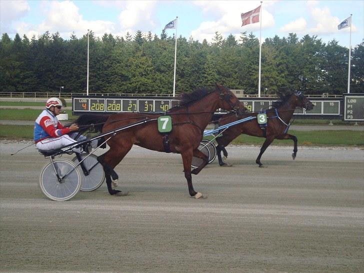 Skive travbane billede 193