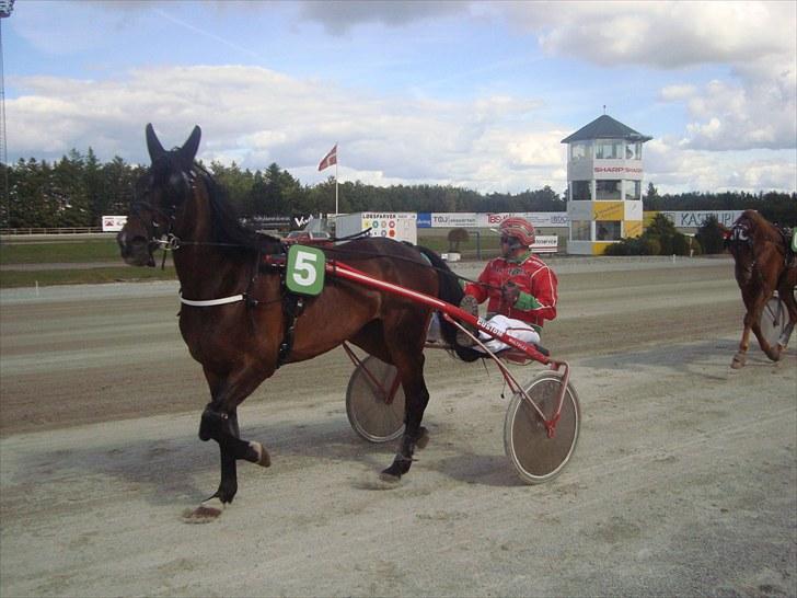 Skive travbane billede 195