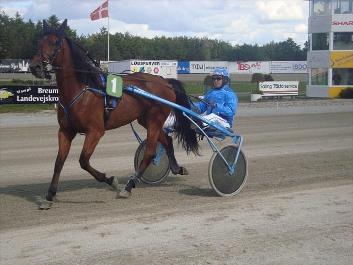 Skive travbane billede 196