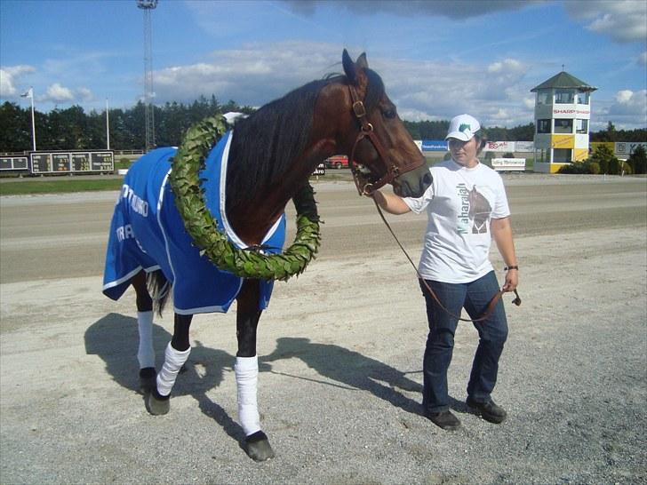 Skive travbane billede 197