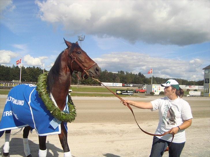 Skive travbane billede 198