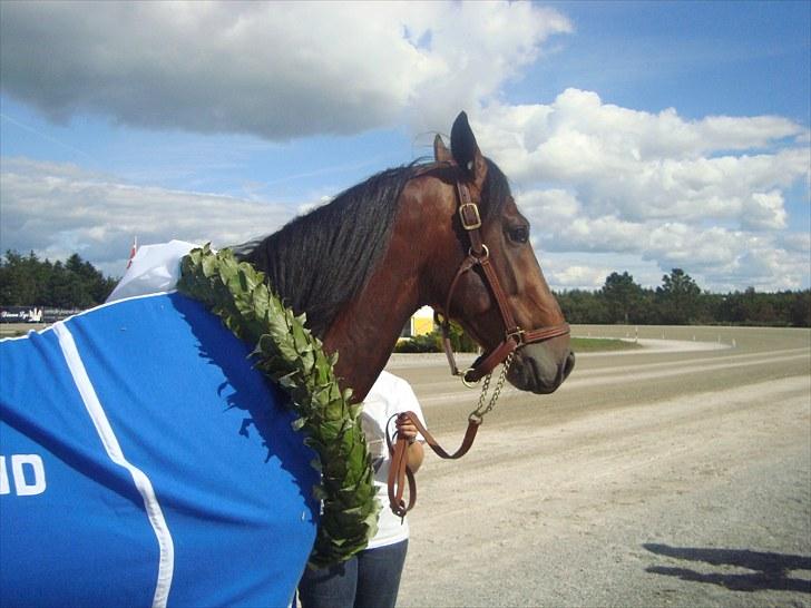 Skive travbane billede 201
