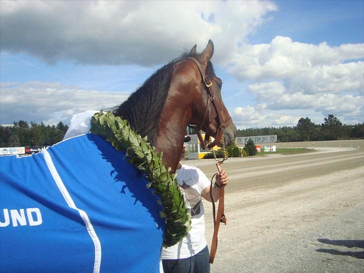 Skive travbane billede 202