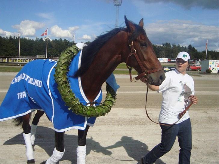 Skive travbane billede 203