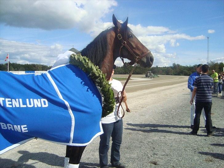 Skive travbane billede 204