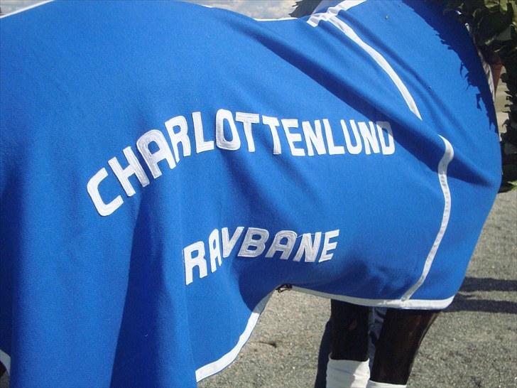 Skive travbane billede 205