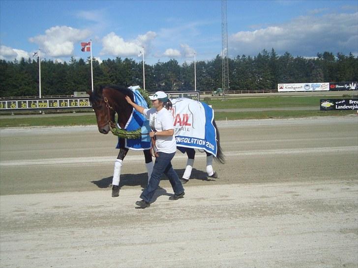 Skive travbane billede 207