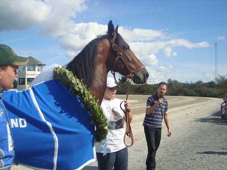 Skive travbane billede 208