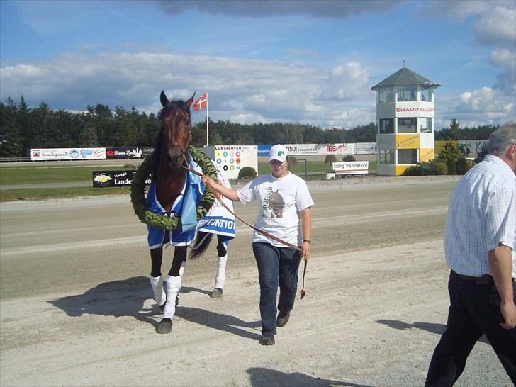 Skive travbane billede 209