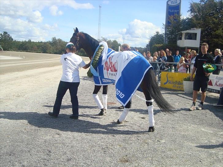 Skive travbane billede 210