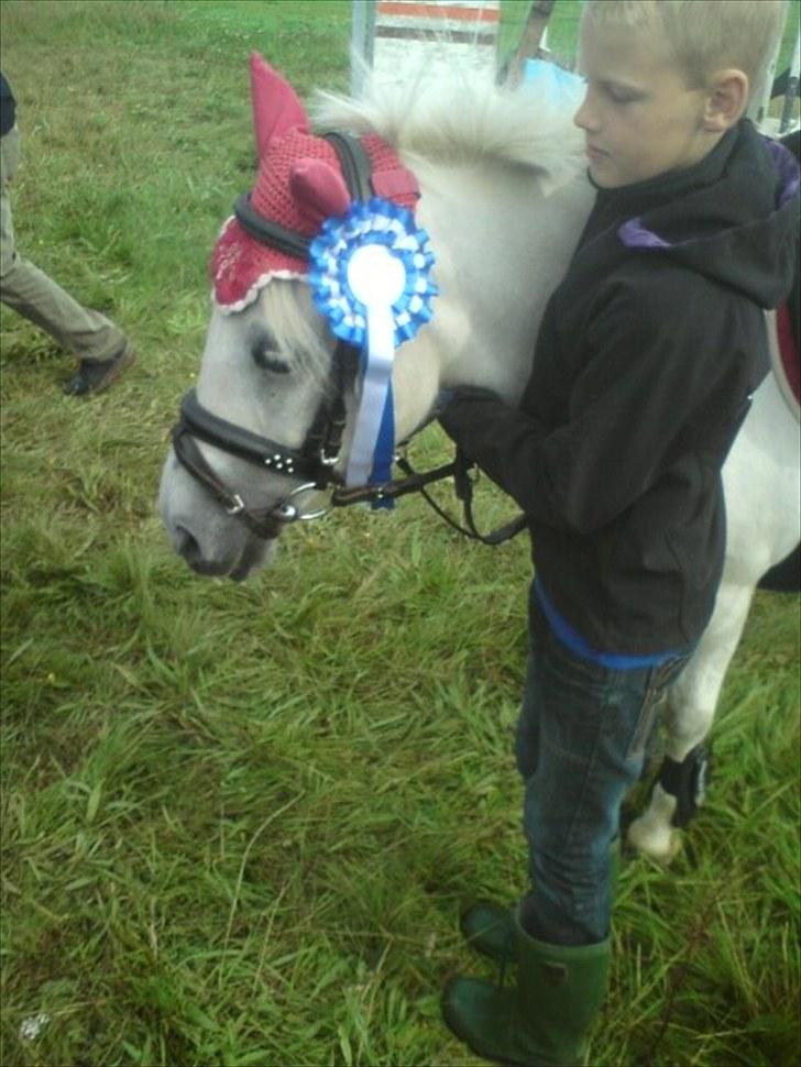 Lucky - Lucky efter LD puljespringning i Rideklubben Hinnitus, aug. 2010.
Lucky blev nr. 2 af 15. Hun var supersej og vandt 210 kr.
Rasmus, min ven, er med som stævnehjælper.... billede 93