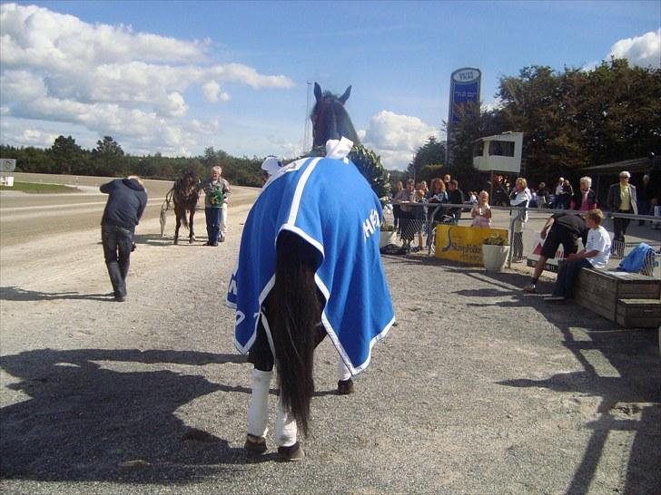 Skive travbane billede 212