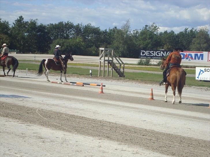 Skive travbane billede 217