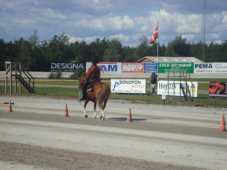 Skive travbane billede 220