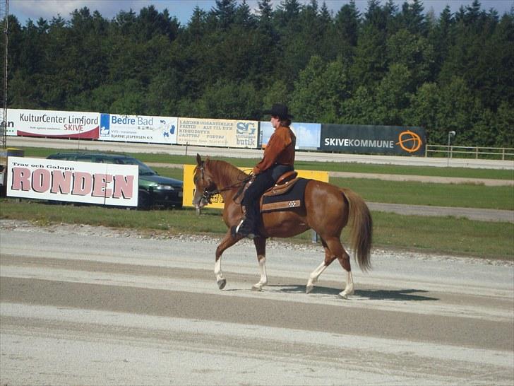 Skive travbane billede 221