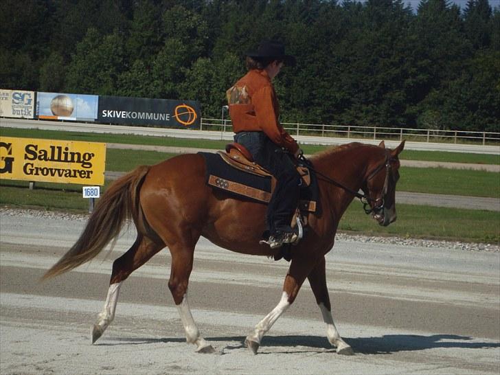 Skive travbane billede 222