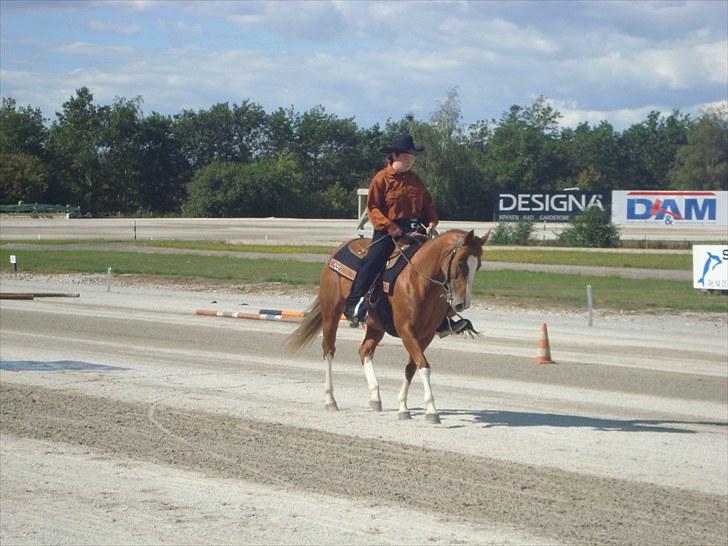 Skive travbane billede 223