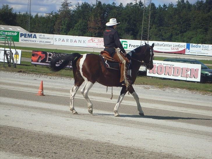 Skive travbane billede 228