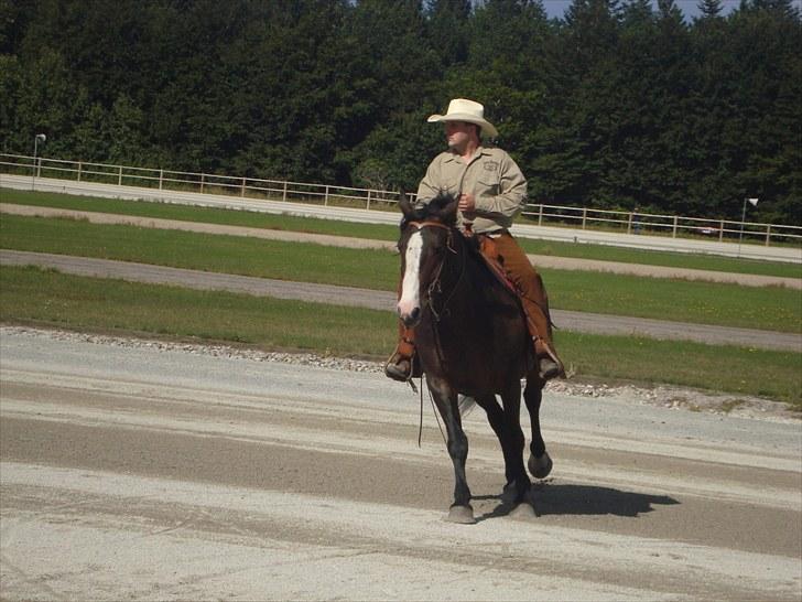 Skive travbane billede 229