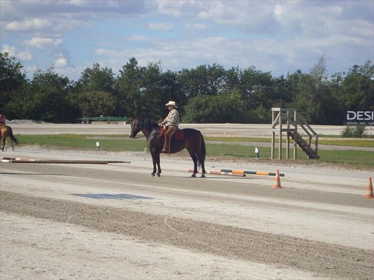 Skive travbane billede 234